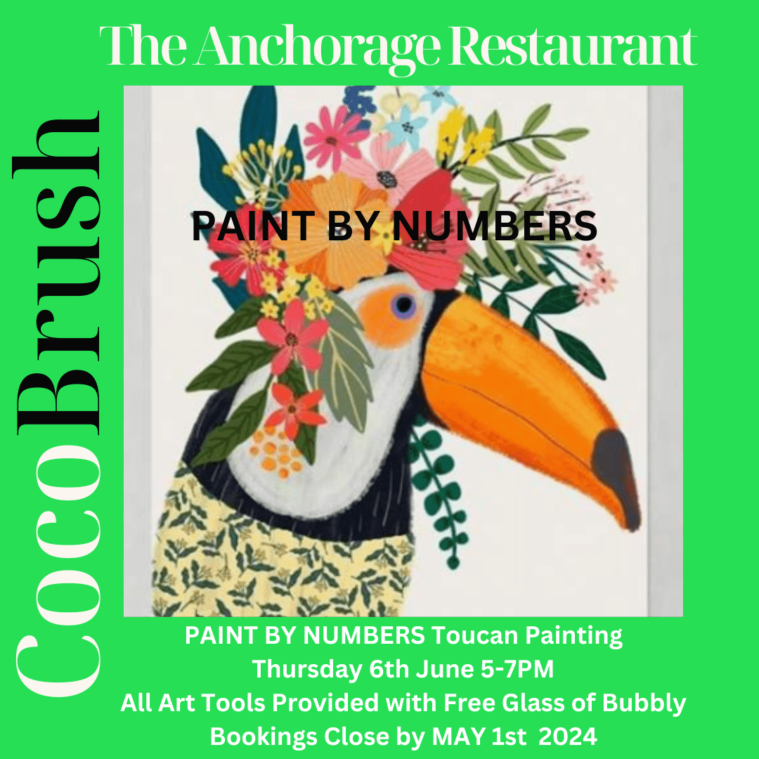 Paint By Numbers - Toucan Painting